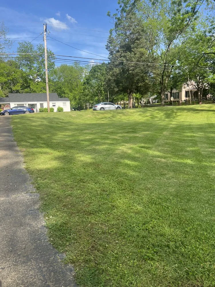 Local residential landscaping for outdoor upgrades across Holly Springs, MS - Hawkins Lawn Service