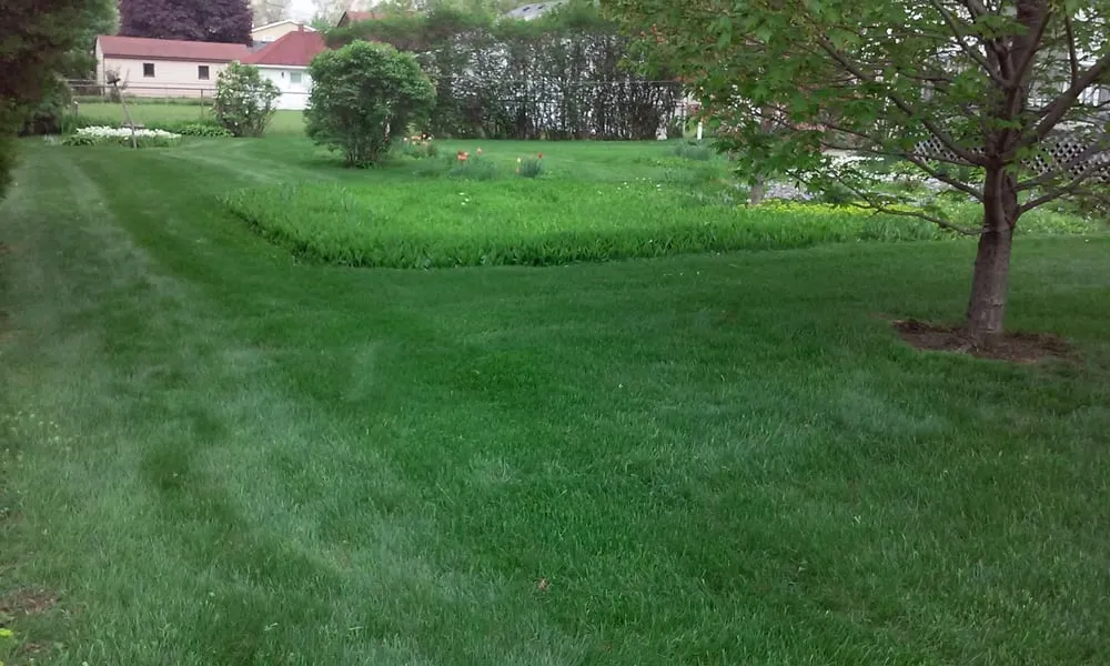Custom residential landscaping in Petersburg, MI - Hawkins Lawncare