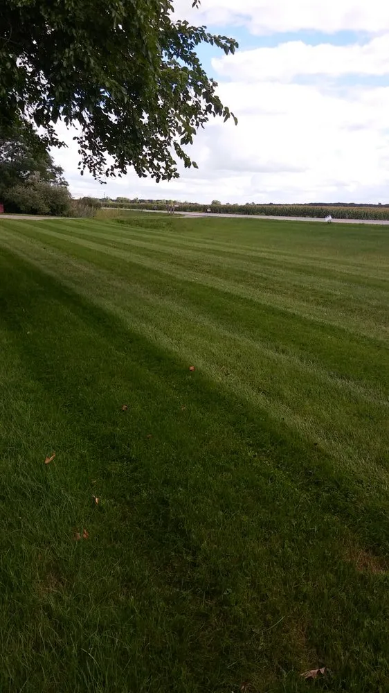 Local yard cleanup service for beautiful yards in Petersburg, MI by Hawkins Lawncare