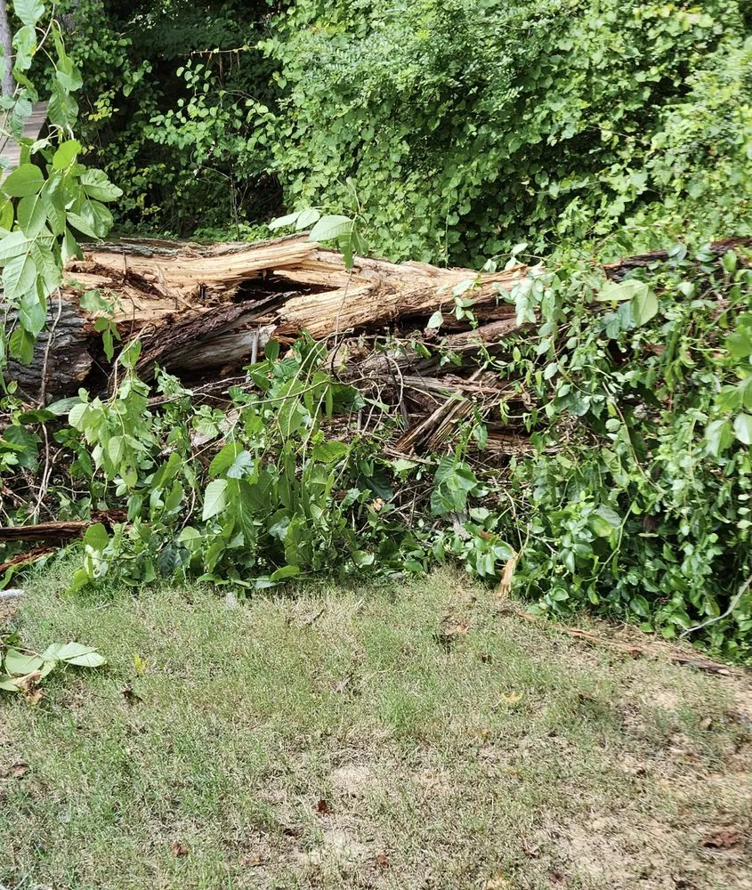 Expert landscape design for residential properties across Oxford, MS - Hawkins