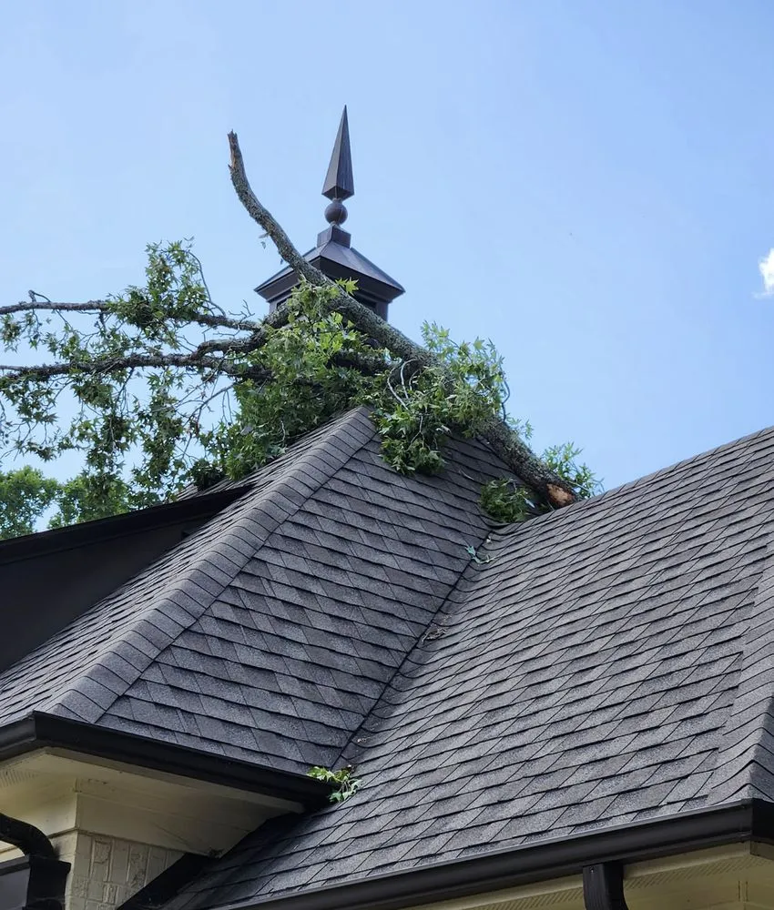 Affordable landscaping services near you across Oxford, MS - Hawkins