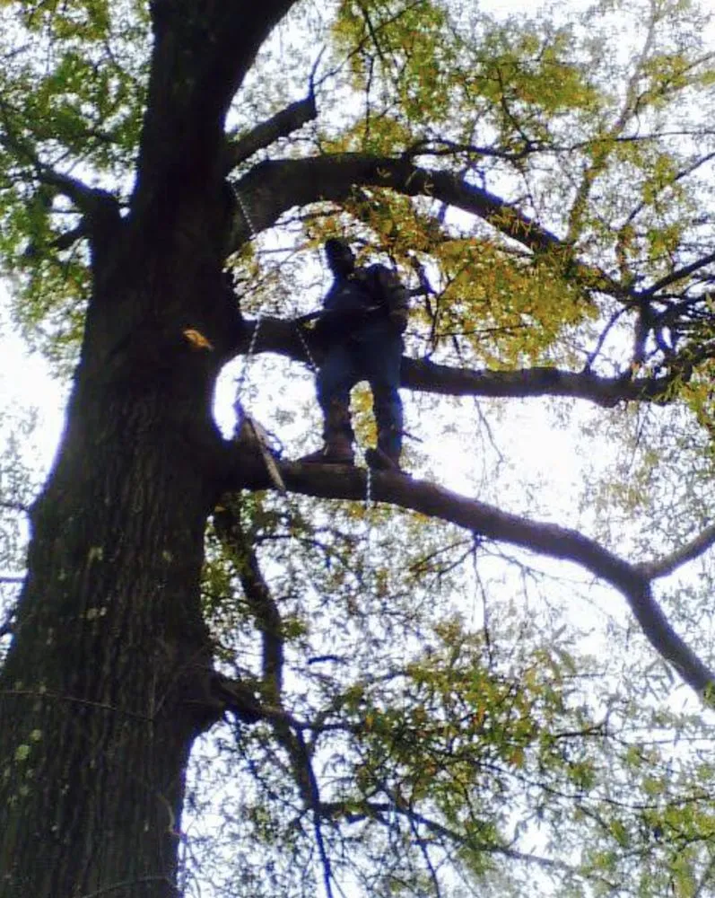 Top-rated landscaping services experts serving Oxford, MS - Hawkins