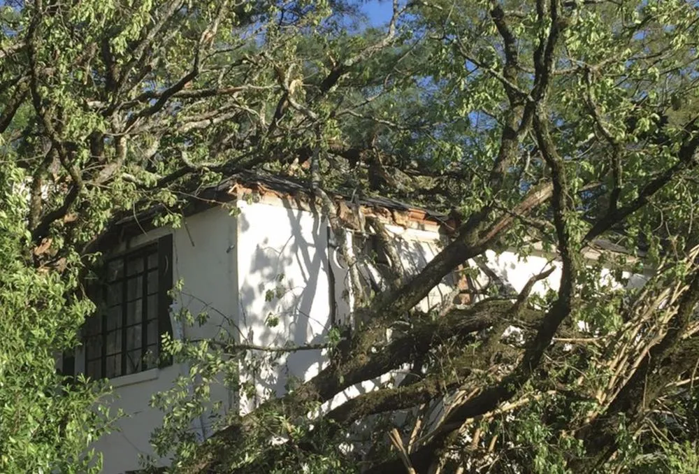 Expert garden landscaping in Oxford, MS by Hawkins