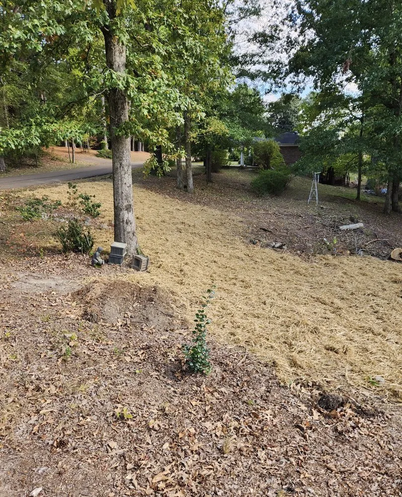 Expert garden landscaping experts serving Oxford, MS - Hawkins