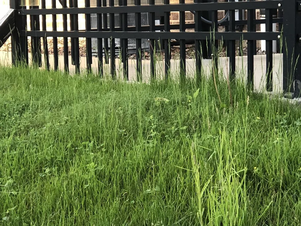 Local lawn care service experts serving Wauwatosa, WI - Hawks Landscape