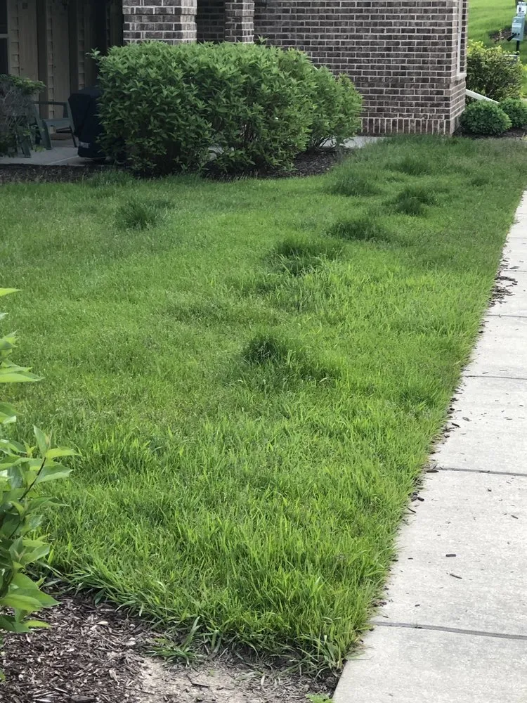 Professional landscape installation in Wauwatosa, WI - Hawks Landscape