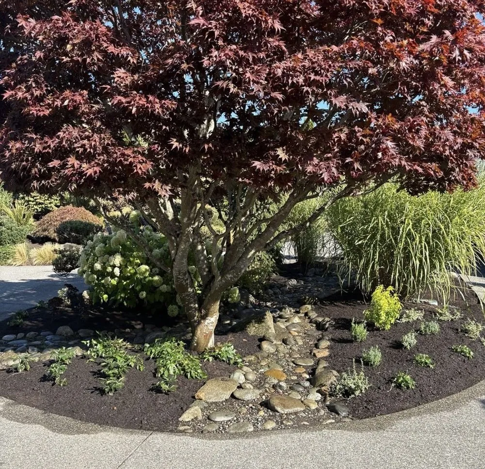 Professional residential landscaping in Everett, WA - Hawks Landscaping