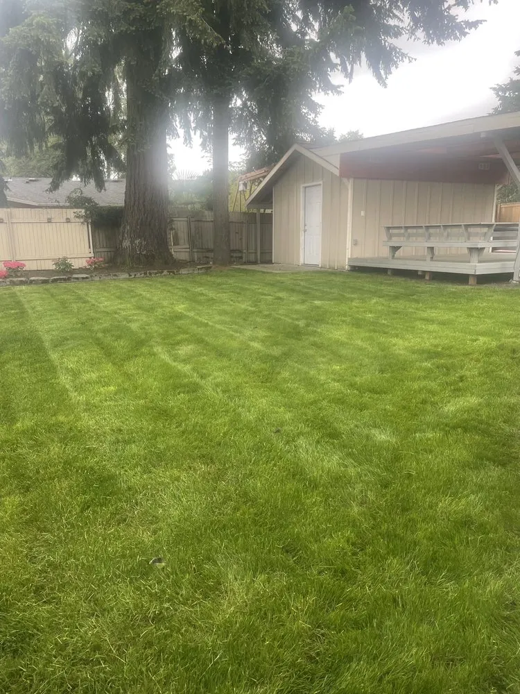 Top-rated lawn care service with custom design across Everett, WA - Hawks Landscaping