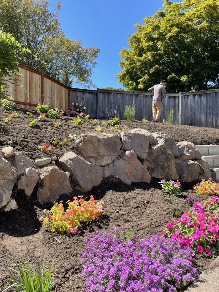 Expert yard maintenance in Everett, WA by Hawks Landscaping