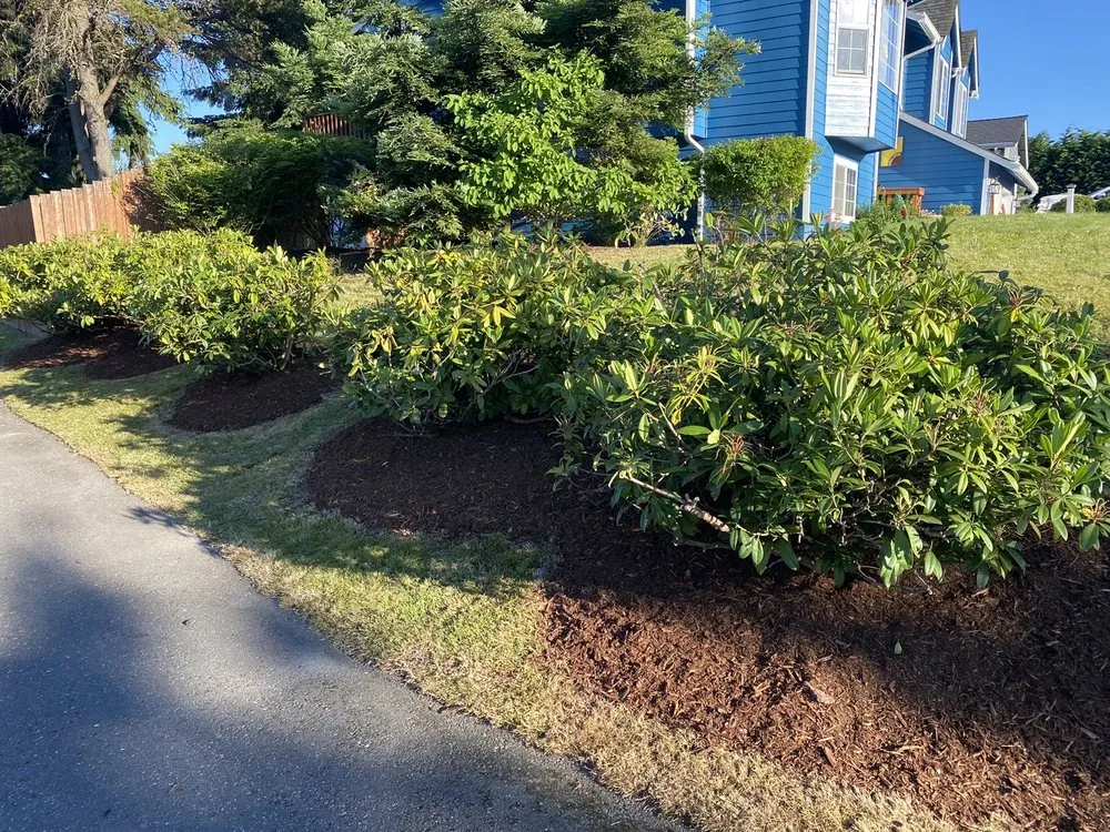 Top-rated yard cleanup service for residential properties in Everett, WA by Hawks Landscaping