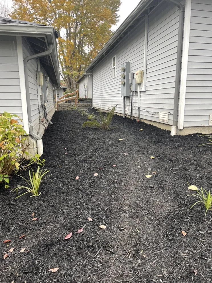 Affordable yard maintenance in Everett, WA - Hawks Landscaping