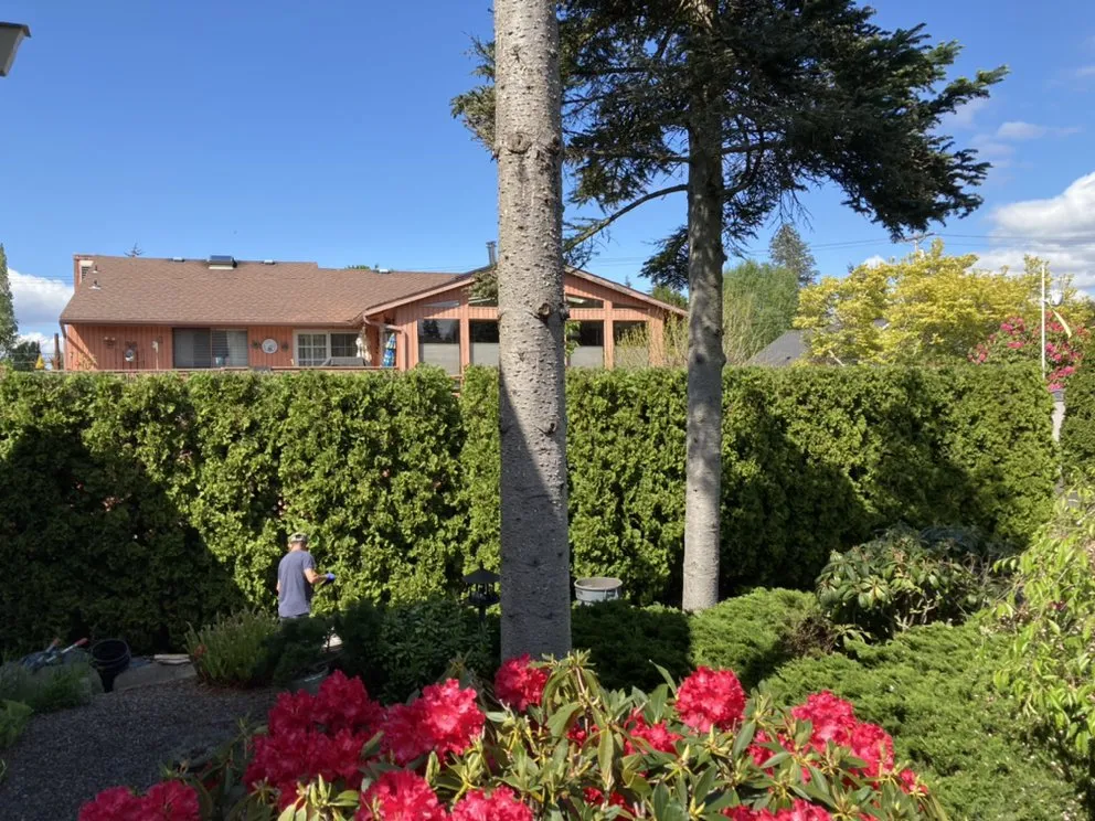 Affordable outdoor landscaping experts serving Everett, WA - Hawks Landscaping