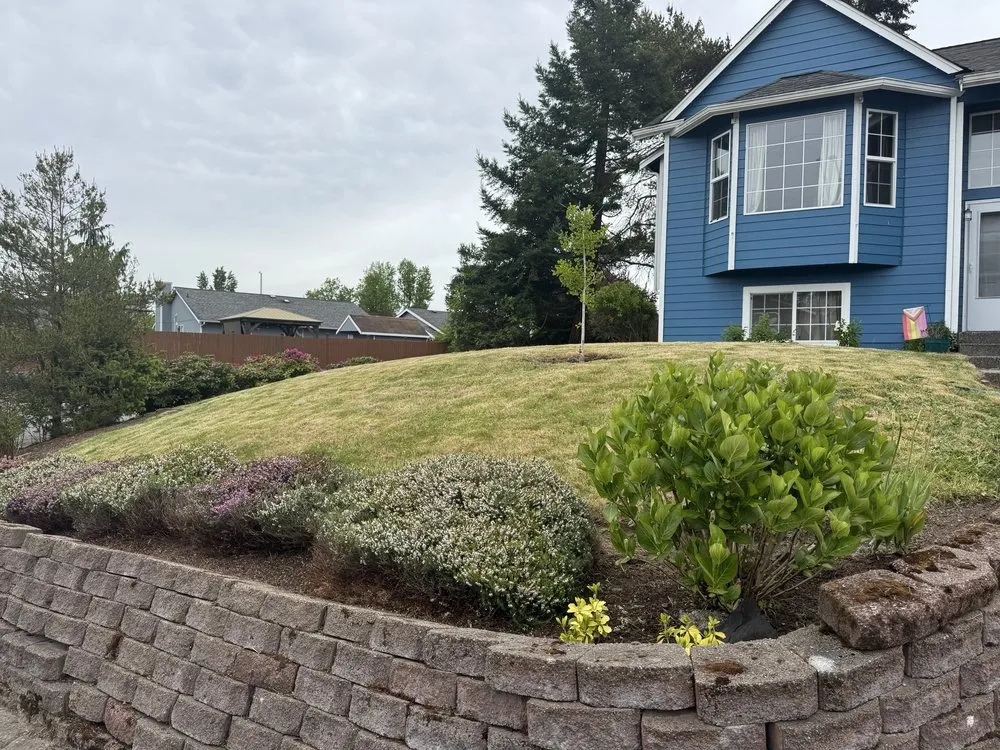 Reliable yard cleanup service in Everett, WA by Hawks Landscaping