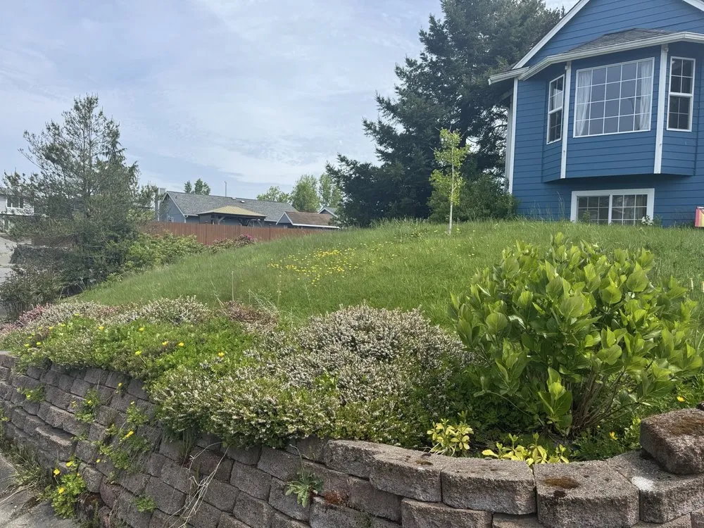 Top-rated outdoor landscaping for outdoor upgrades across Everett, WA - Hawks Landscaping