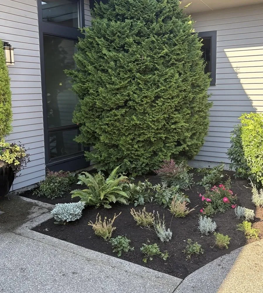 Affordable yard cleanup service in Everett, WA by Hawks Landscaping