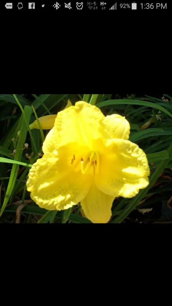 Trusted landscape installation experts serving Norristown, PA - Hawks Landscaping