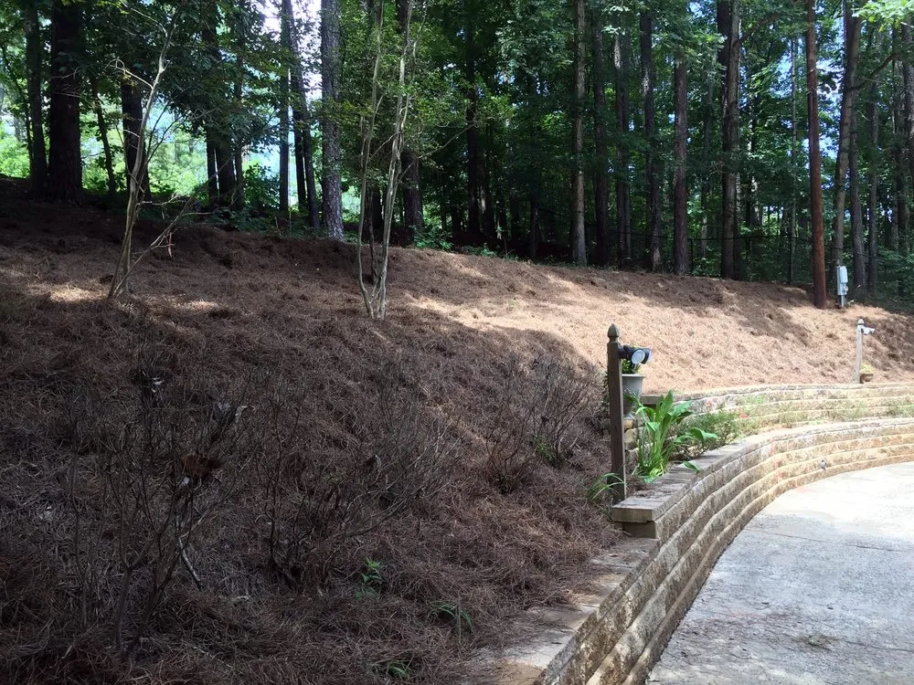 Affordable yard maintenance in Woodstock, GA by Hawks Landscaping