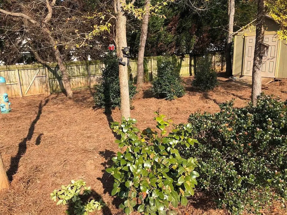 Expert outdoor landscaping in Woodstock, GA - Hawks Landscaping
