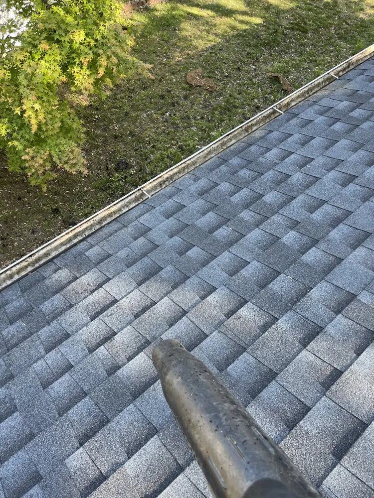 Expert yard cleanup service in Hampton, VA by Hawks Lawn Care Services & More