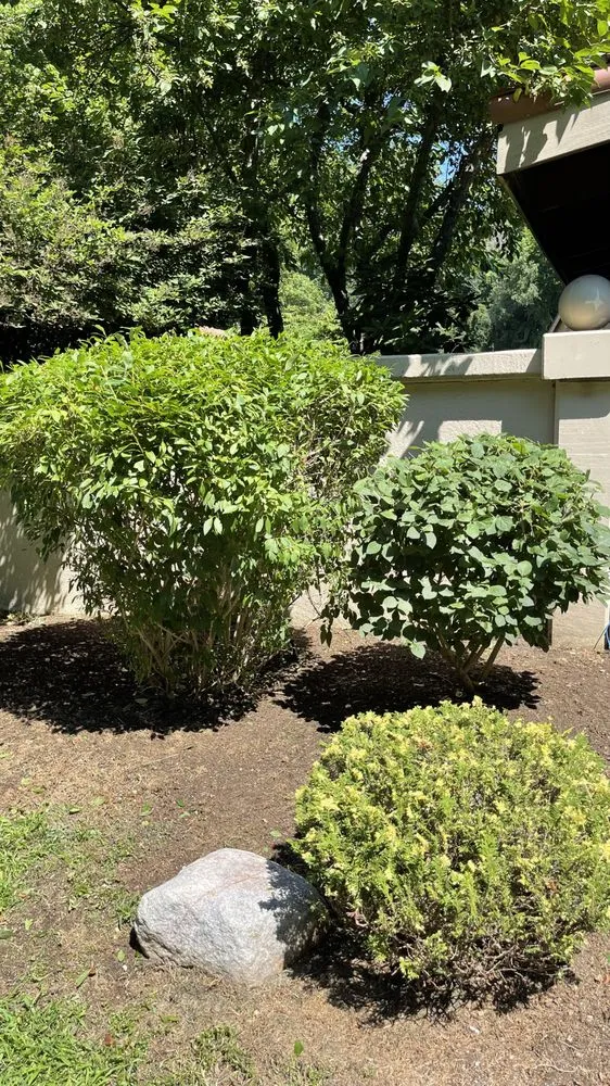 Expert lawn care service in St. Joseph, MI - Hawks Lawn Care