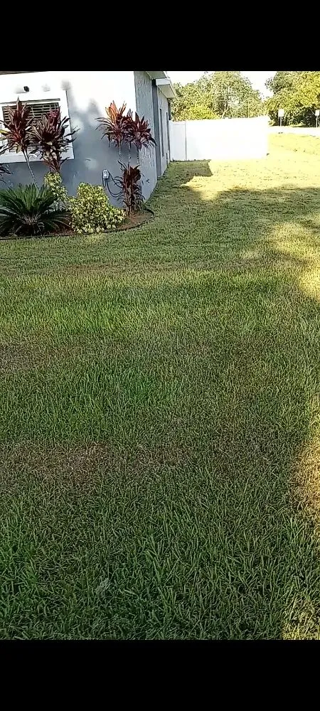 Custom outdoor landscaping in Sanford, FL - Hawk's Lawn Service Care
