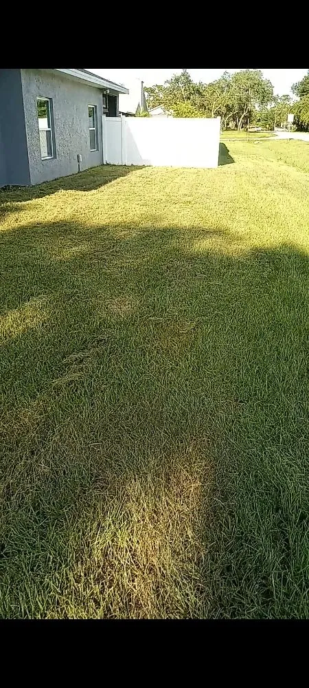 Professional lawn care service for beautiful yards across Sanford, FL - Hawk's Lawn Service Care