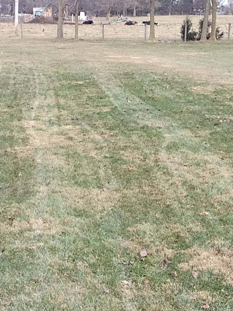 Affordable landscape installation near you across Waynesboro, PA - Hawks Property Maintenance