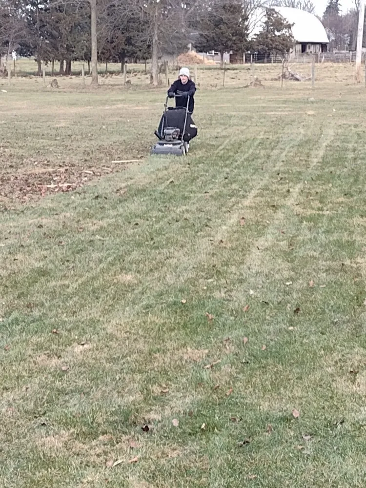 Top-rated yard cleanup service for year-round maintenance across Waynesboro, PA - Hawks Property Maintenance