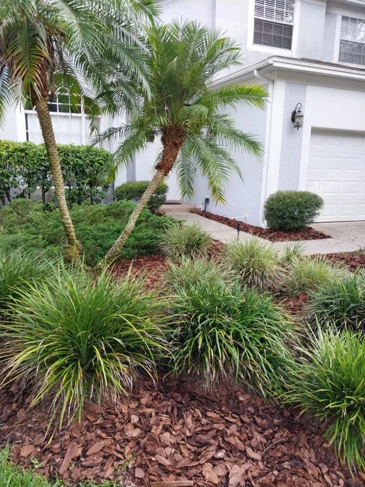 Local landscape installation in NEW PRT RCHY, FL - Hawks Unlimited Services