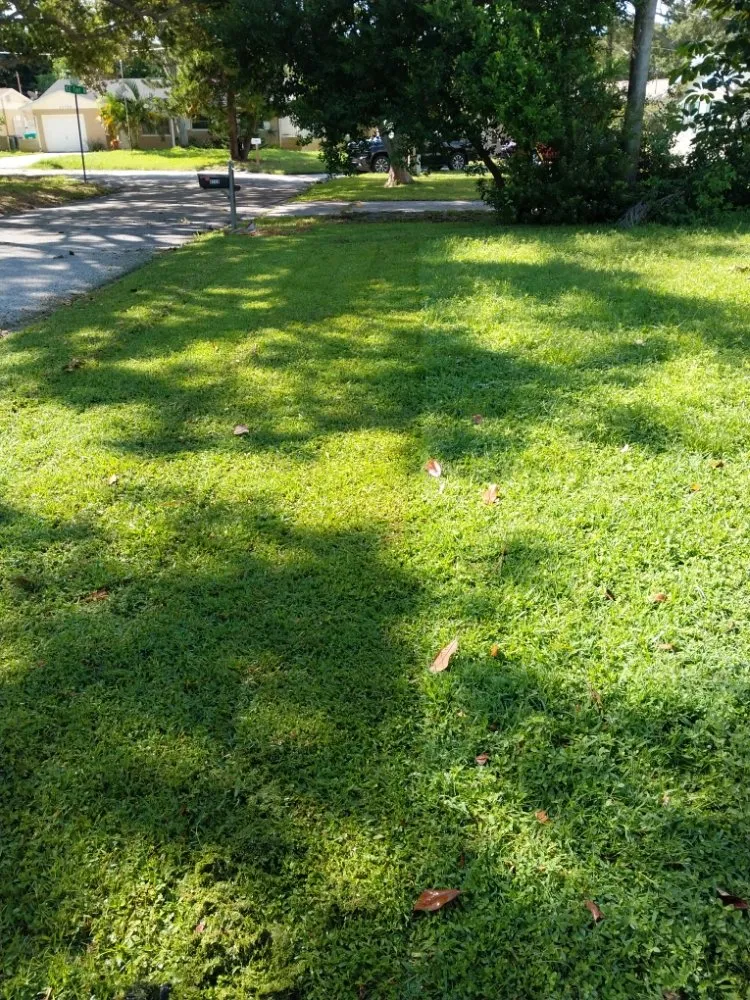 Custom garden landscaping in NEW PRT RCHY, FL - Hawks Unlimited Services