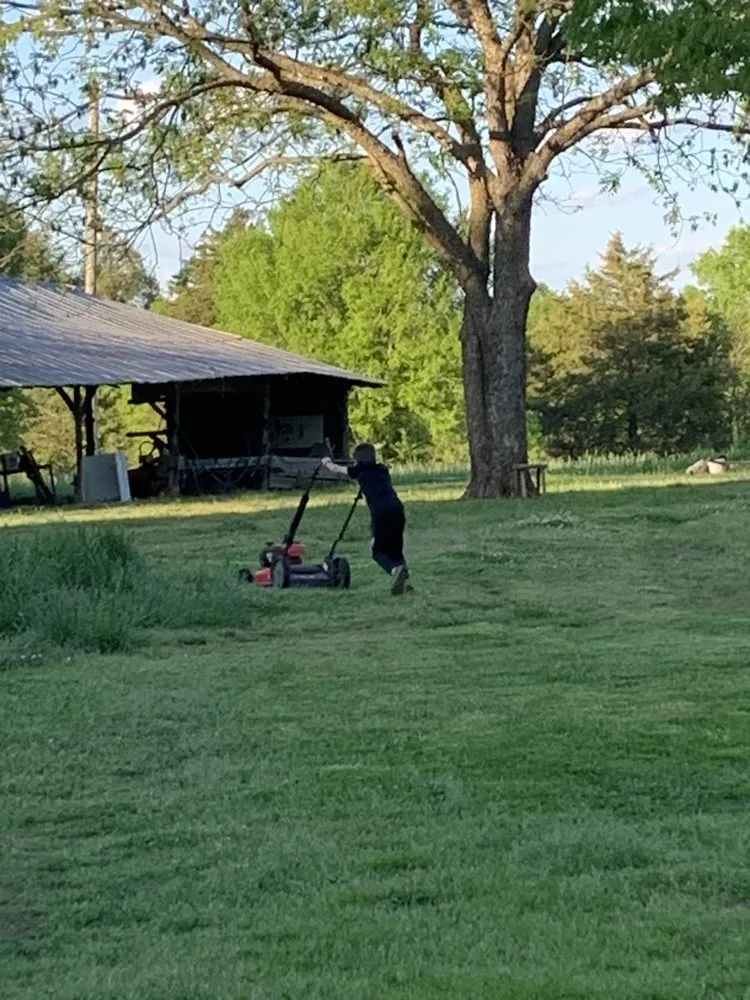 Local landscape installation for year-round maintenance in McConnells, SC by Hawley Road Lawn Care