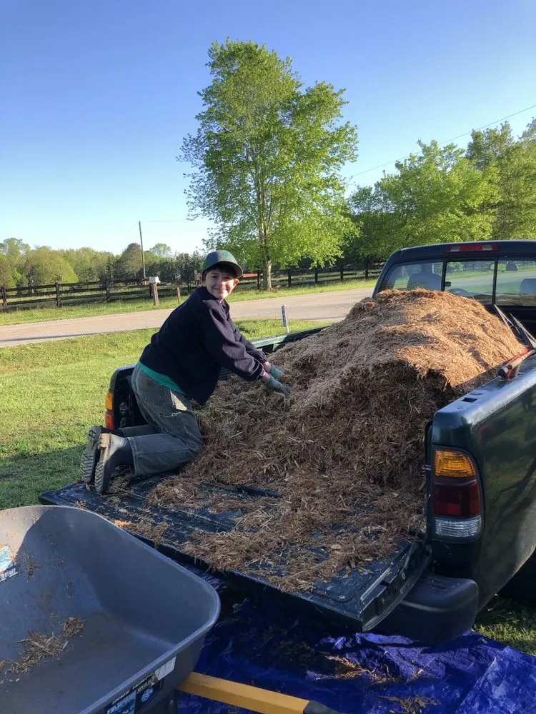 Affordable landscape installation in McConnells, SC by Hawley Road Lawn Care