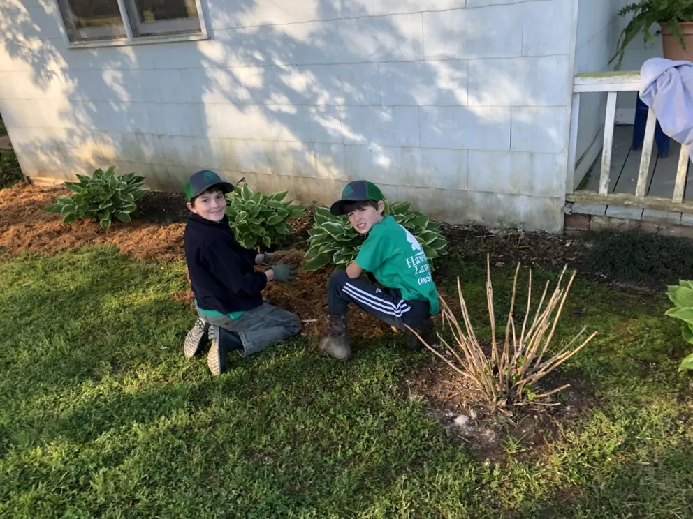 Affordable yard cleanup service for outdoor upgrades in McConnells, SC by Hawley Road Lawn Care