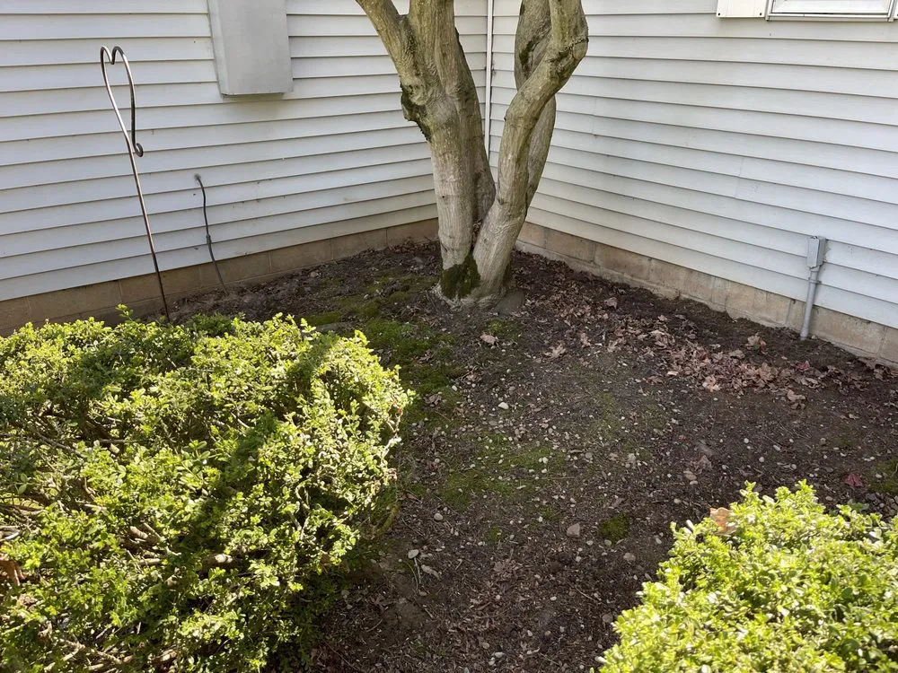 Reliable landscape design in Cayuga, IN - Hawns Landscaping