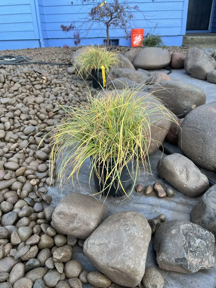 Affordable landscaping services experts serving Williams, OR - Hawthorne Landscaping NW