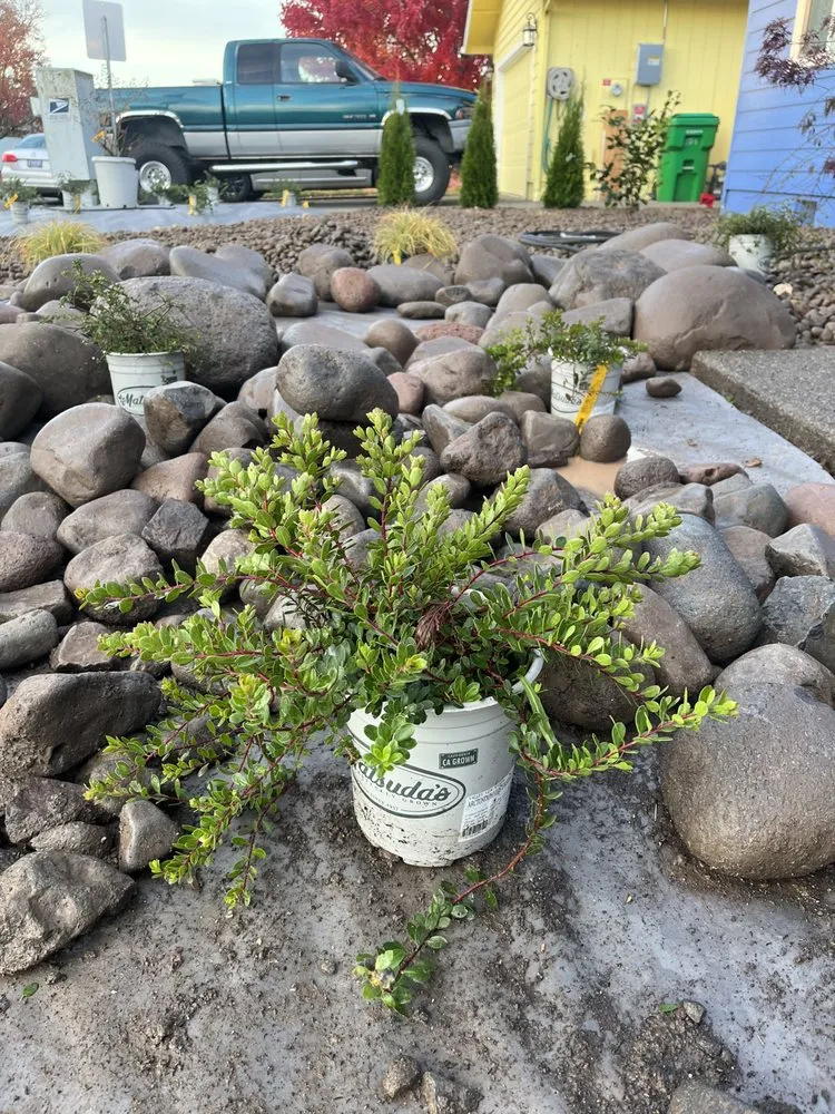 Expert lawn care service for homes across Williams, OR - Hawthorne Landscaping NW