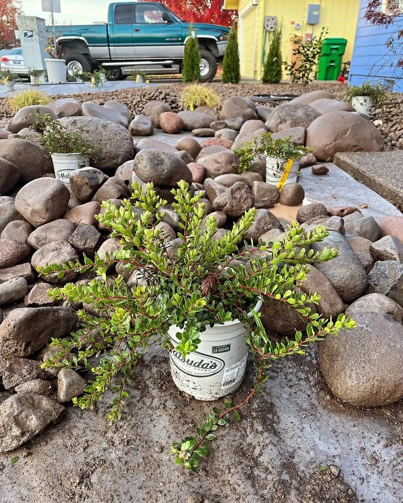 Affordable landscaping services experts serving Williams, OR - Hawthorne Landscaping NW