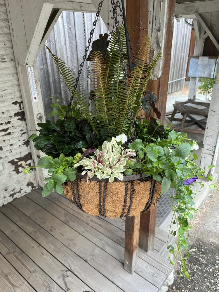 Top-rated garden landscaping for outdoor upgrades across Williams, OR - Hawthorne Landscaping NW