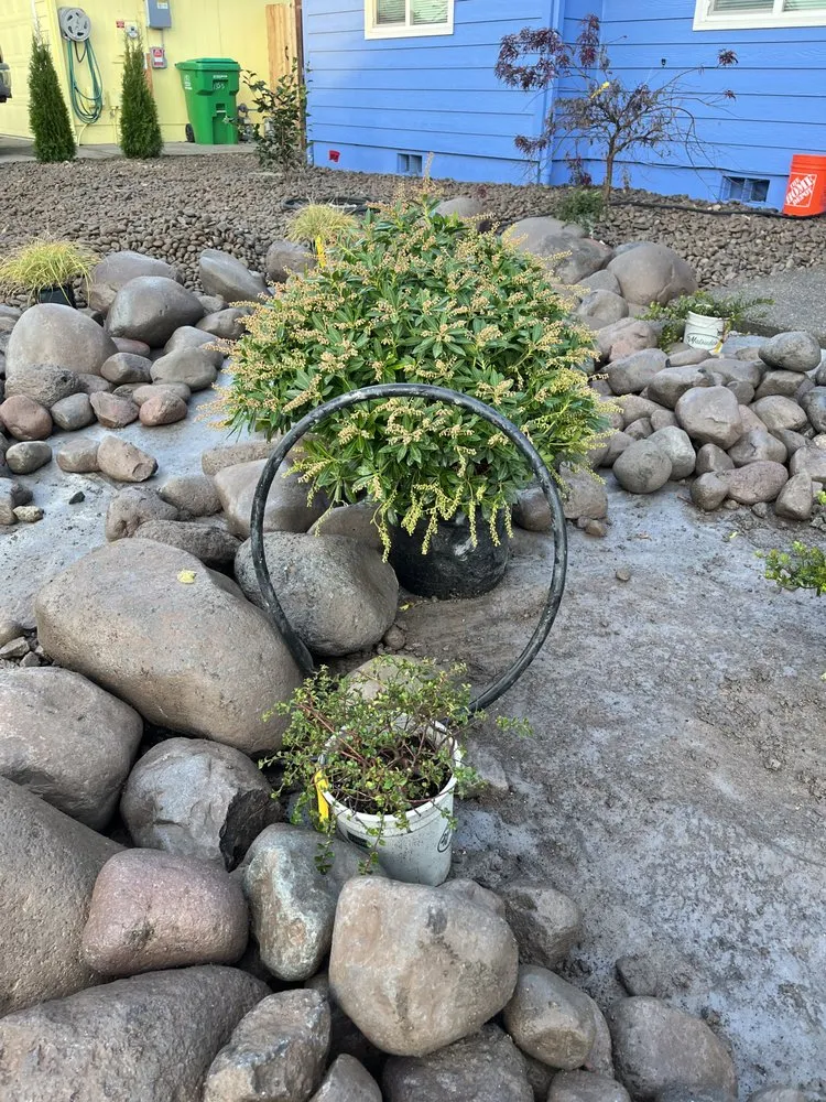 Top-rated landscaping services for beautiful yards in Williams, OR by Hawthorne Landscaping NW