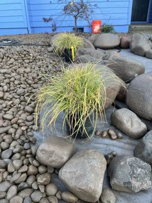 Hawthorne Landscaping NW