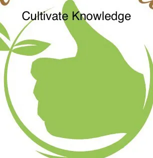 Affordable outdoor landscaping with custom design across Albany, NY - Hay Gardenica