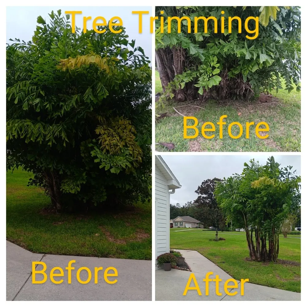 Expert lawn mowing service with custom design in San Antonio, FL by Hayah Creations