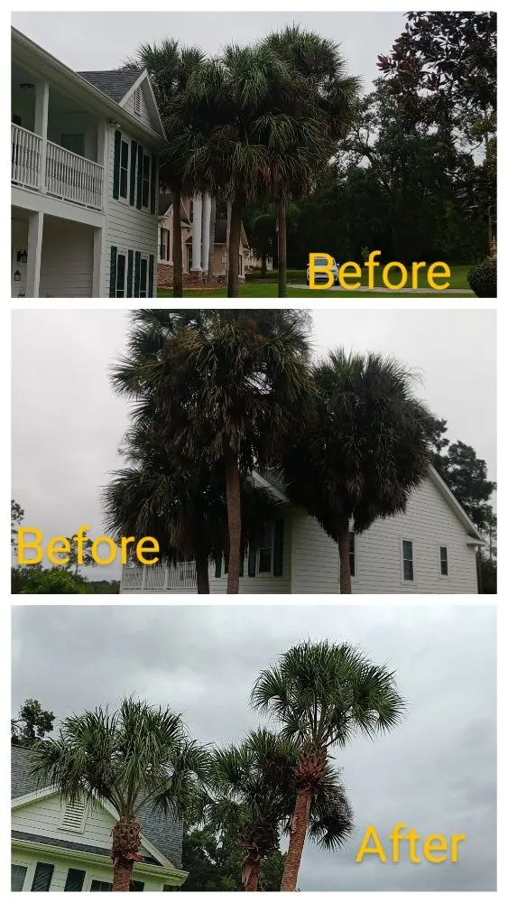 Local lawn mowing service in San Antonio, FL by Hayah Creations