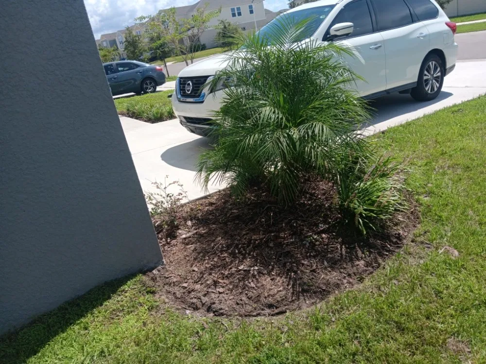 Professional lawn mowing service experts serving San Antonio, FL - Hayah Creations