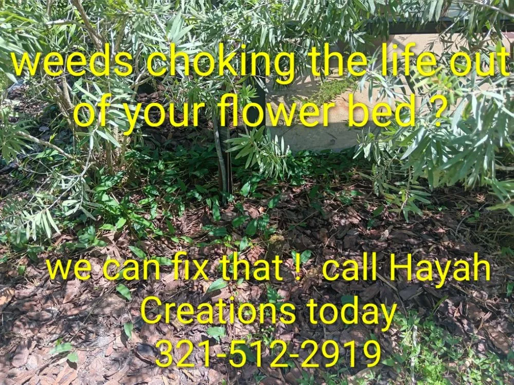 Reliable landscape design with custom design in San Antonio, FL by Hayah Creations
