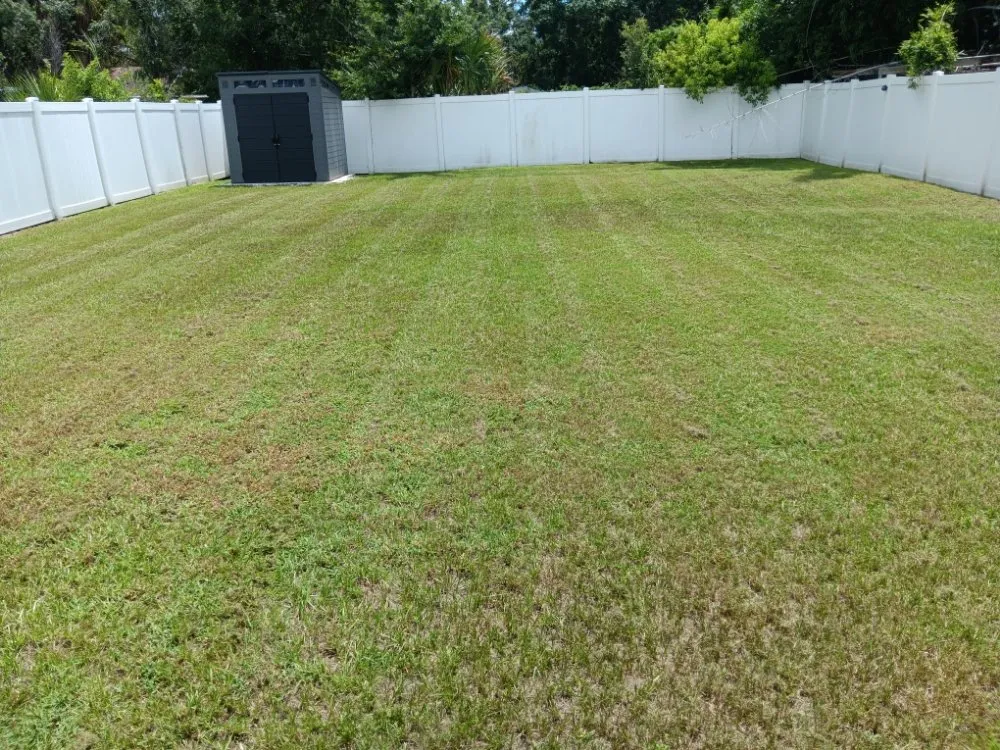 Custom yard maintenance in San Antonio, FL by Hayah Creations