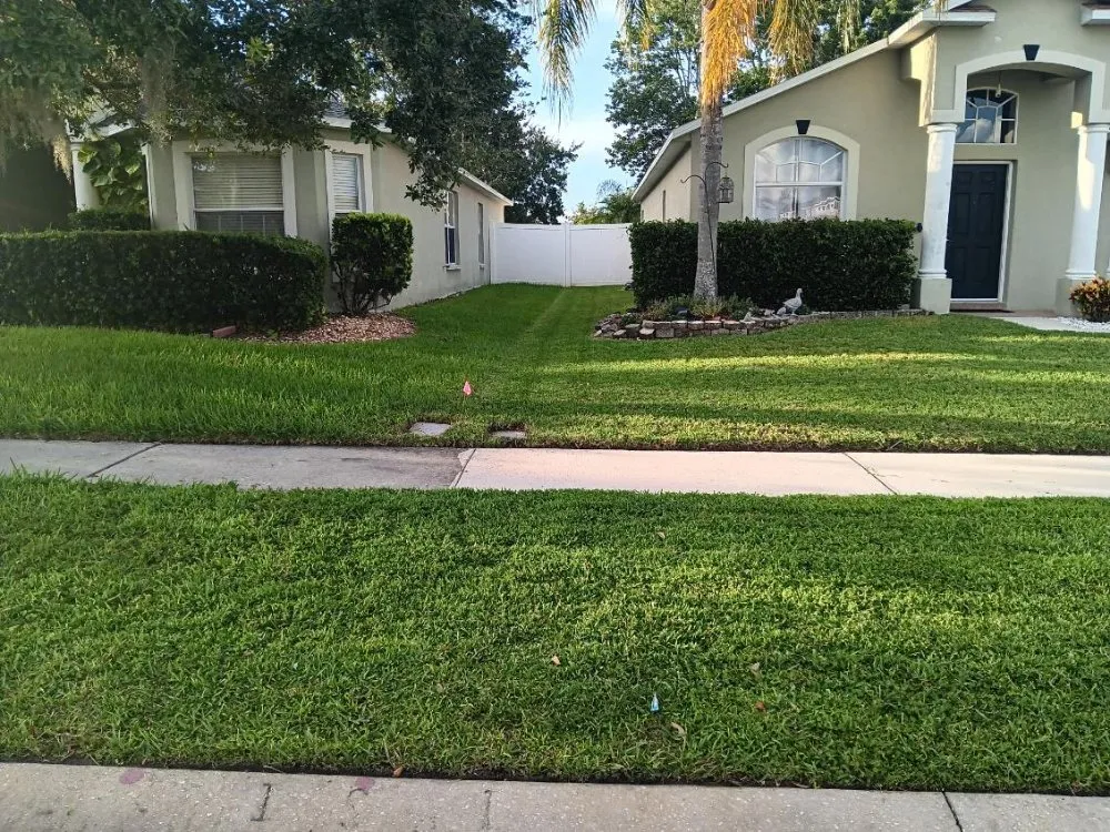 Local landscape installation in San Antonio, FL by Hayah Creations