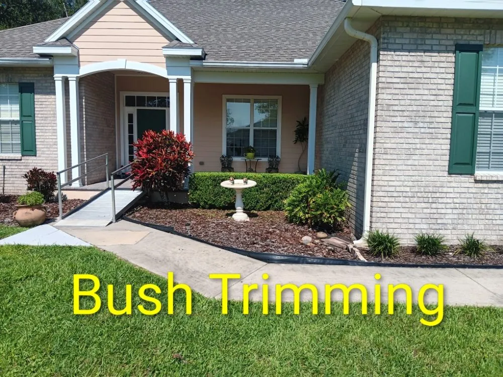 Trusted residential landscaping for homes across San Antonio, FL - Hayah Creations
