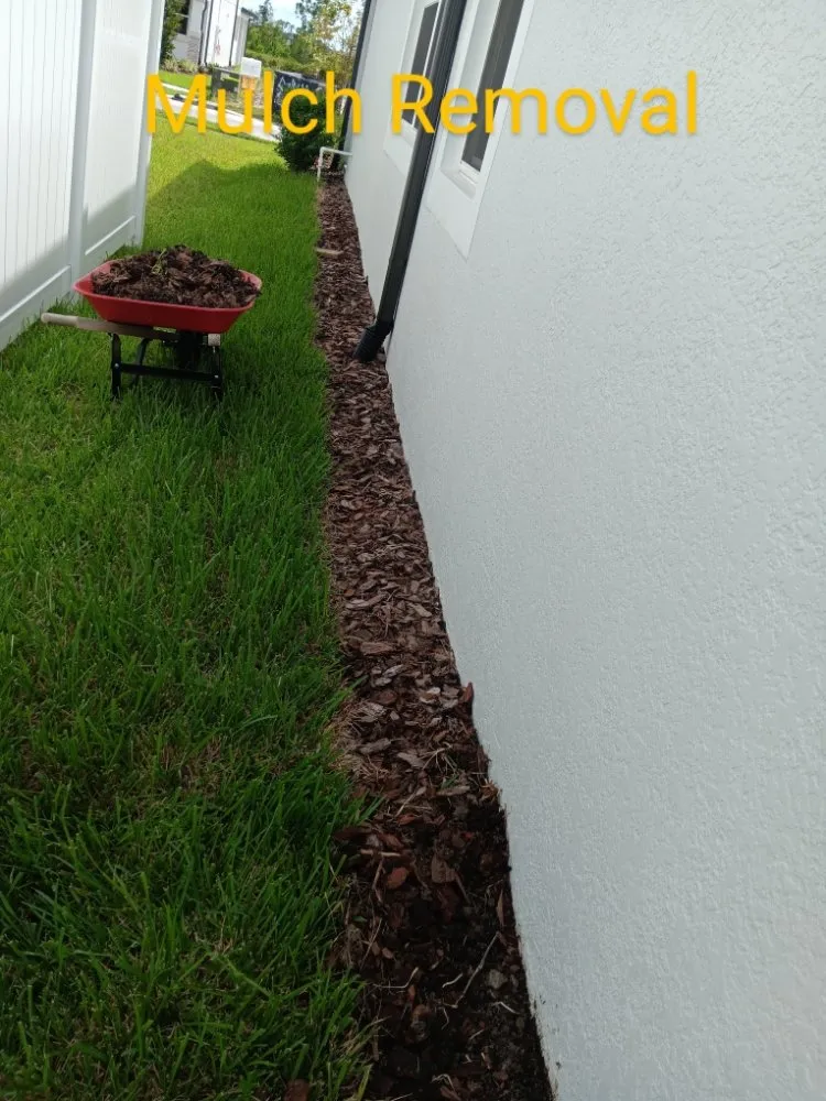 Trusted residential landscaping in San Antonio, FL - Hayah Creations