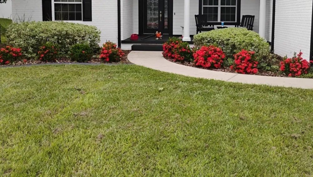 Custom yard cleanup service in San Antonio, FL - Hayah Creations